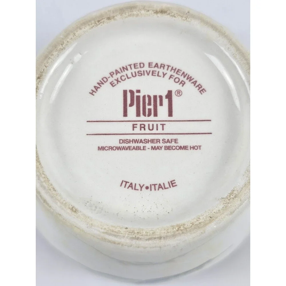 Pier 1 Fruit Hand-Painted Earthenware Coffee Mug Microwave Dishwasher Safe Italy